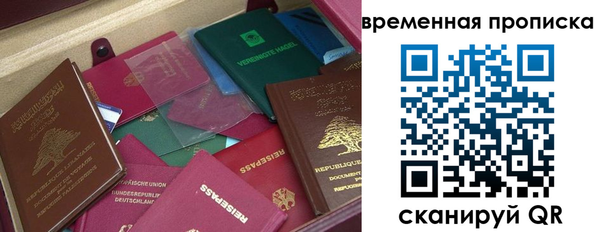 прописка в Заполярном